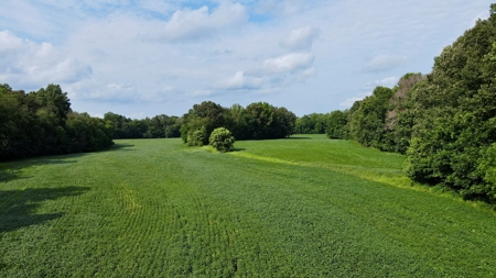 Farmland for Sale in Gibson County, TN - Build a Dream Home - image 15