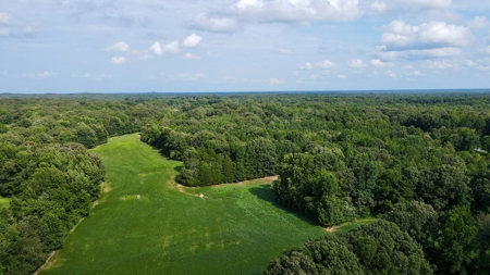 Farmland for Sale in Gibson County, TN - Build a Dream Home - image 6