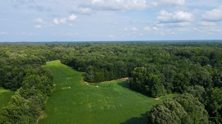 Farmland for Sale in Gibson County, TN - Build a Dream Home - image 5