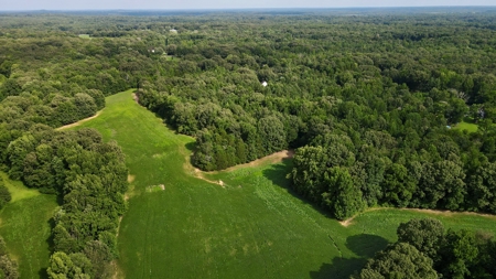 Farmland for Sale in Gibson County, TN - Build a Dream Home - image 3