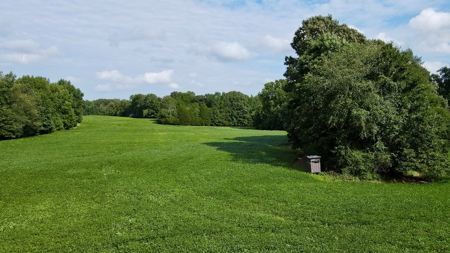 Farmland for Sale in Gibson County, TN - Build a Dream Home - image 9