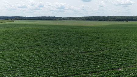 Tract 2 of 7 180+/- Acres Grand River Row Crop Bottom Land - image 19