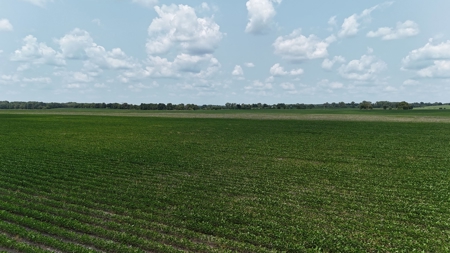 Tract 2 of 7 180+/- Acres Grand River Row Crop Bottom Land - image 22