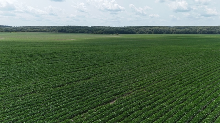 Tract 2 of 7 180+/- Acres Grand River Row Crop Bottom Land - image 20