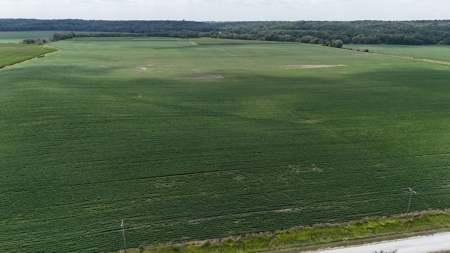 Tract 2 of 7 180+/- Acres Grand River Row Crop Bottom Land - image 18