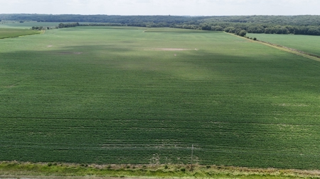Tract 2 of 7 180+/- Acres Grand River Row Crop Bottom Land - image 17