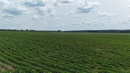 Tract 2 of 7 180+/- Acres Grand River Row Crop Bottom Land - image 25