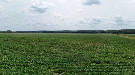 Tract 2 of 7 180+/- Acres Grand River Row Crop Bottom Land - image 26