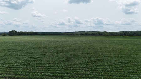 Tract 2 of 7 180+/- Acres Grand River Row Crop Bottom Land - image 23