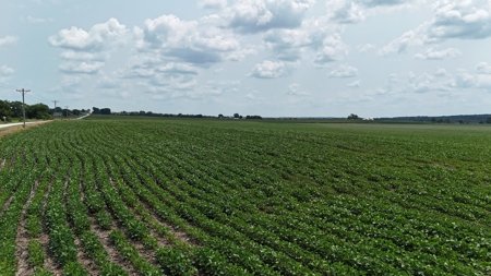 Tract 2 of 7 180+/- Acres Grand River Row Crop Bottom Land - image 24