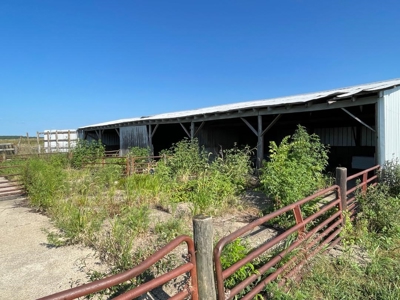 Tract 3 of 7 116+/- Acres Grand River Row Crop Bottom Land - image 21
