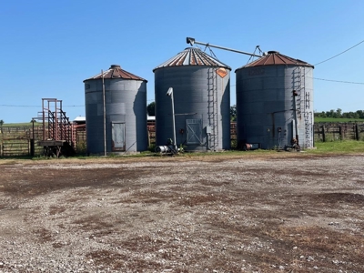 Tract 3 of 7 116+/- Acres Grand River Row Crop Bottom Land - image 17