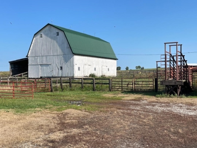 Tract 3 of 7 116+/- Acres Grand River Row Crop Bottom Land - image 18