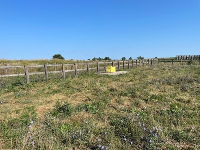 Tract 3 of 7 116+/- Acres Grand River Row Crop Bottom Land - image 24