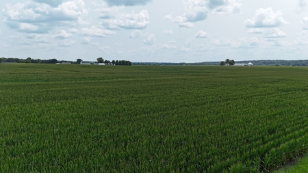 Tract 3 of 7 116+/- Acres Grand River Row Crop Bottom Land - image 8
