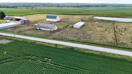 Tract 3 of 7 116+/- Acres Grand River Row Crop Bottom Land - image 13
