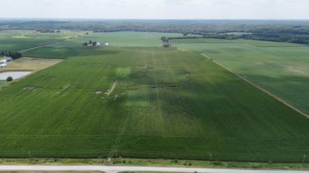 Tract 3 of 7 116+/- Acres Grand River Row Crop Bottom Land - image 3