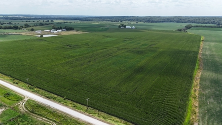 Tract 3 of 7 116+/- Acres Grand River Row Crop Bottom Land - image 2