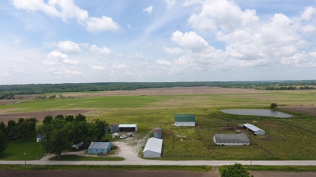 Tract 3 of 7 116+/- Acres Grand River Row Crop Bottom Land - image 1