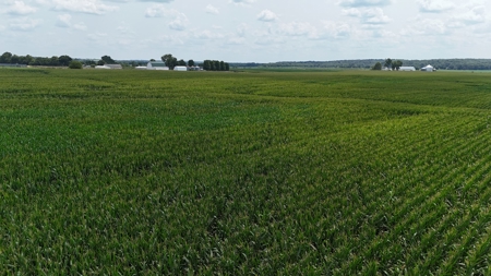 Tract 3 of 7 116+/- Acres Grand River Row Crop Bottom Land - image 5