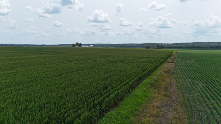 Tract 3 of 7 116+/- Acres Grand River Row Crop Bottom Land - image 7