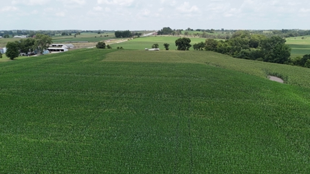 Tract 4 of 7 78+/- Acres Grand River Row Crop Bottom Land - image 9
