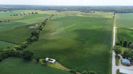 Tract 4 of 7 78+/- Acres Grand River Row Crop Bottom Land - image 6