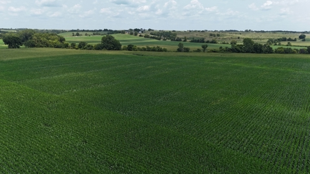 Tract 4 of 7 78+/- Acres Grand River Row Crop Bottom Land - image 11