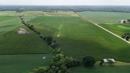 Tract 4 of 7 78+/- Acres Grand River Row Crop Bottom Land - image 5