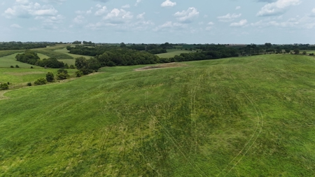 Tract 5 of 7 160+/- Acres Excellent Hill Land in Pasture - image 18