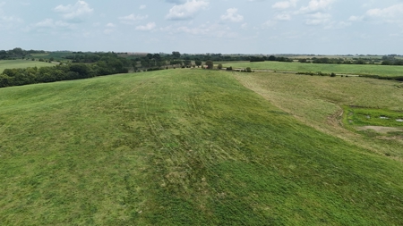 Tract 5 of 7 160+/- Acres Excellent Hill Land in Pasture - image 19