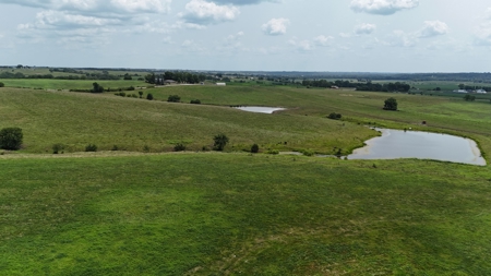 Tract 5 of 7 160+/- Acres Excellent Hill Land in Pasture - image 17