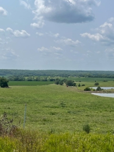 Tract 5 of 7 160+/- Acres Excellent Hill Land in Pasture - image 2