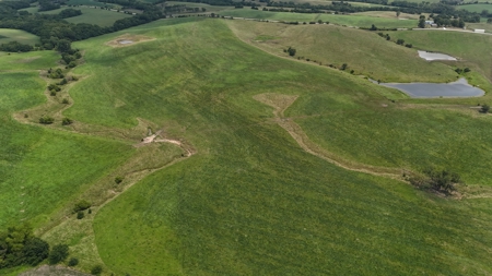 Tract 5 of 7 160+/- Acres Excellent Hill Land in Pasture - image 13