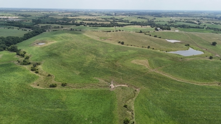 Tract 5 of 7 160+/- Acres Excellent Hill Land in Pasture - image 11