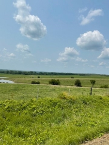 Tract 5 of 7 160+/- Acres Excellent Hill Land in Pasture - image 7