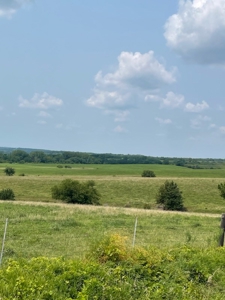 Tract 5 of 7 160+/- Acres Excellent Hill Land in Pasture - image 3