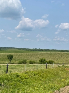 Tract 5 of 7 160+/- Acres Excellent Hill Land in Pasture - image 5