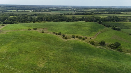 Tract 5 of 7 160+/- Acres Excellent Hill Land in Pasture - image 10