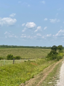Tract 5 of 7 160+/- Acres Excellent Hill Land in Pasture - image 4