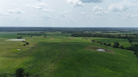 Tract 5 of 7 160+/- Acres Excellent Hill Land in Pasture - image 9