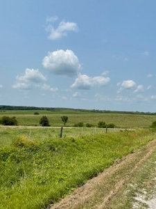 Tract 5 of 7 160+/- Acres Excellent Hill Land in Pasture - image 6