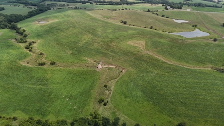 Tract 5 of 7 160+/- Acres Excellent Hill Land in Pasture - image 12