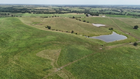Tract 5 of 7 160+/- Acres Excellent Hill Land in Pasture - image 15