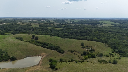 Tract 6 of 7  80.5+/- Acres Hill Land in Pasture and Timber - image 19