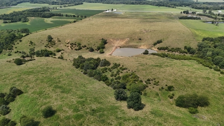 Tract 6 of 7  80.5+/- Acres Hill Land in Pasture and Timber - image 22