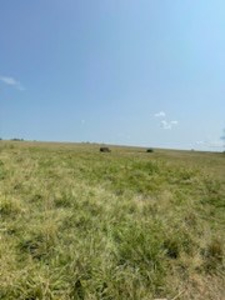 Tract 6 of 7  80.5+/- Acres Hill Land in Pasture and Timber - image 4