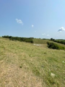 Tract 6 of 7  80.5+/- Acres Hill Land in Pasture and Timber - image 11