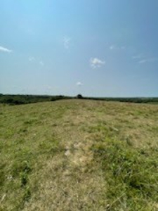 Tract 6 of 7  80.5+/- Acres Hill Land in Pasture and Timber - image 15