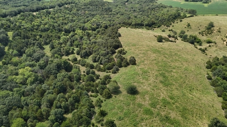 Tract 6 of 7  80.5+/- Acres Hill Land in Pasture and Timber - image 23